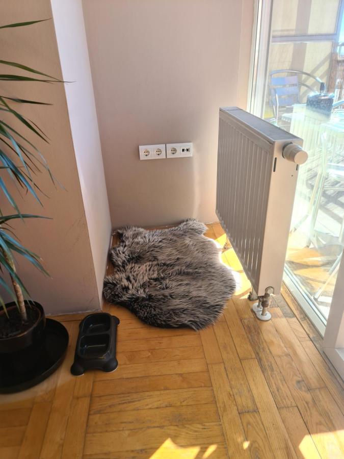 Apartman *Joy* Osijek Exteriér fotografie
